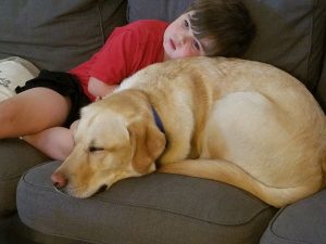 boy with dog